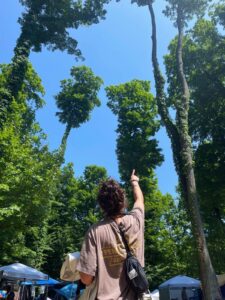 Abby & Trees