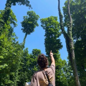 Abby & Trees