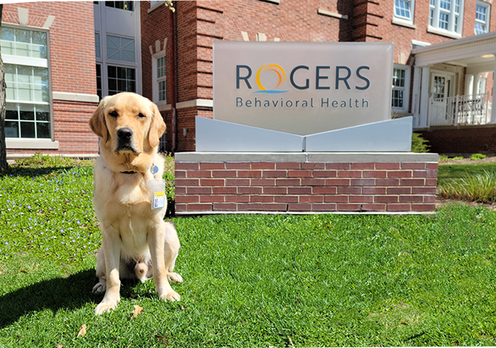 Rogers Behavioral Health Foundation
